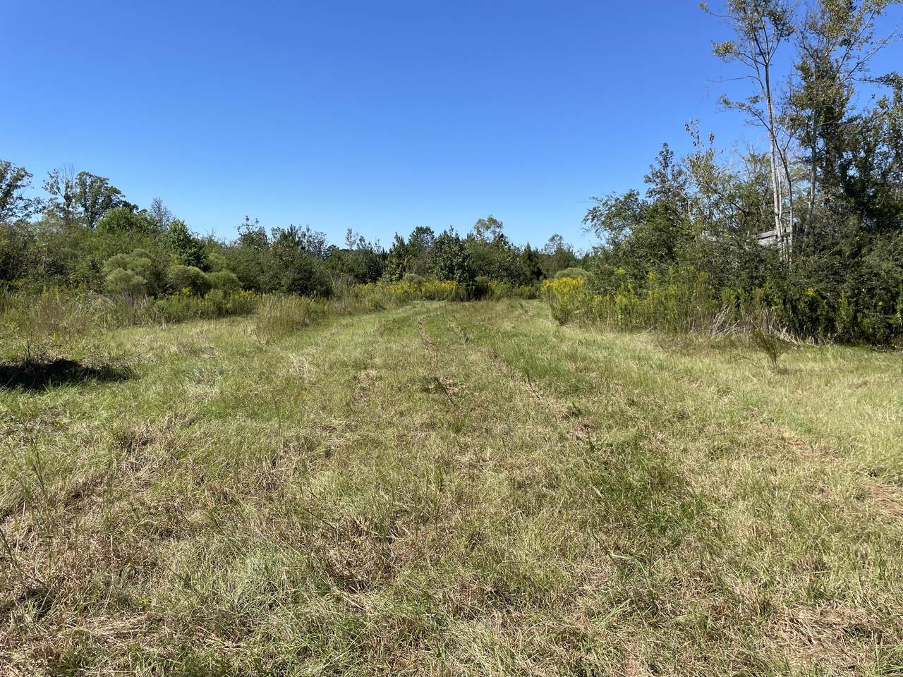 0 Clarence Magee Ln. & Ms-42 - Photo 1