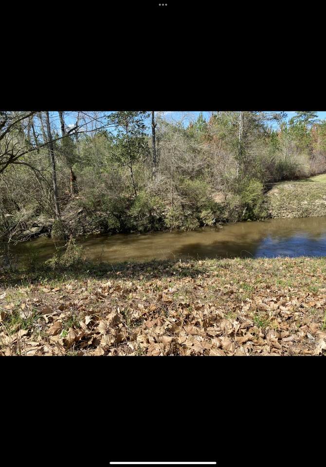 Lot 1 7.66 Acres Fire Tower Rd. - Photo 1