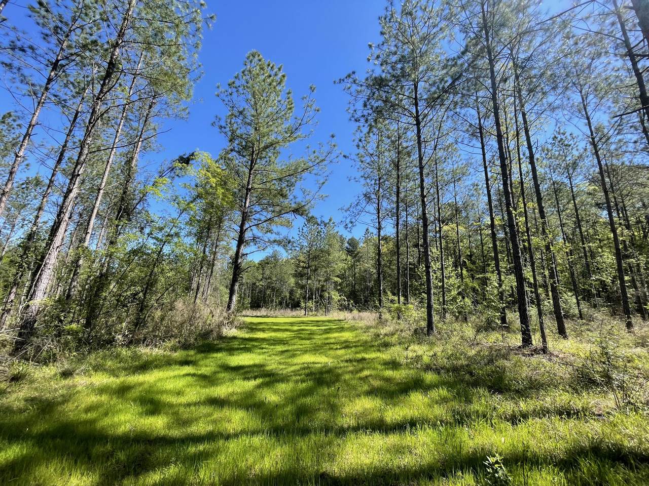 https://bt-photos.global.ssl.fastly.net/hattiesburg/1280_boomver_1_140578-2.jpg