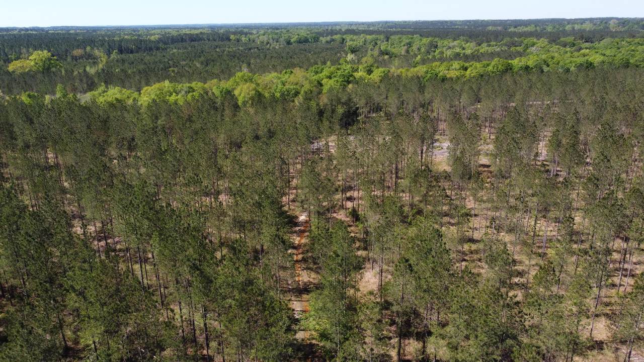 https://bt-photos.global.ssl.fastly.net/hattiesburg/1280_boomver_1_140578-2.jpg