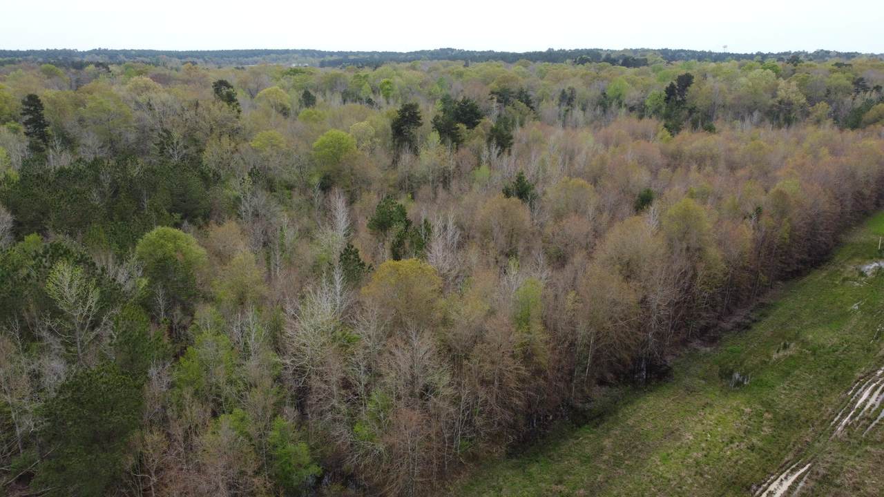 https://bt-photos.global.ssl.fastly.net/hattiesburg/1280_boomver_1_140579-2.jpg