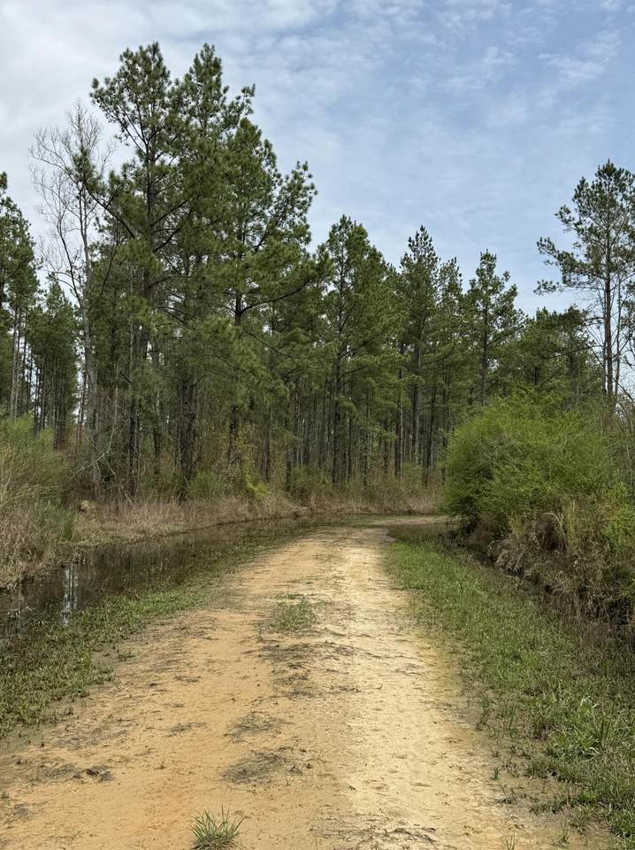 https://bt-photos.global.ssl.fastly.net/hattiesburg/1280_boomver_1_140579-2.jpg
