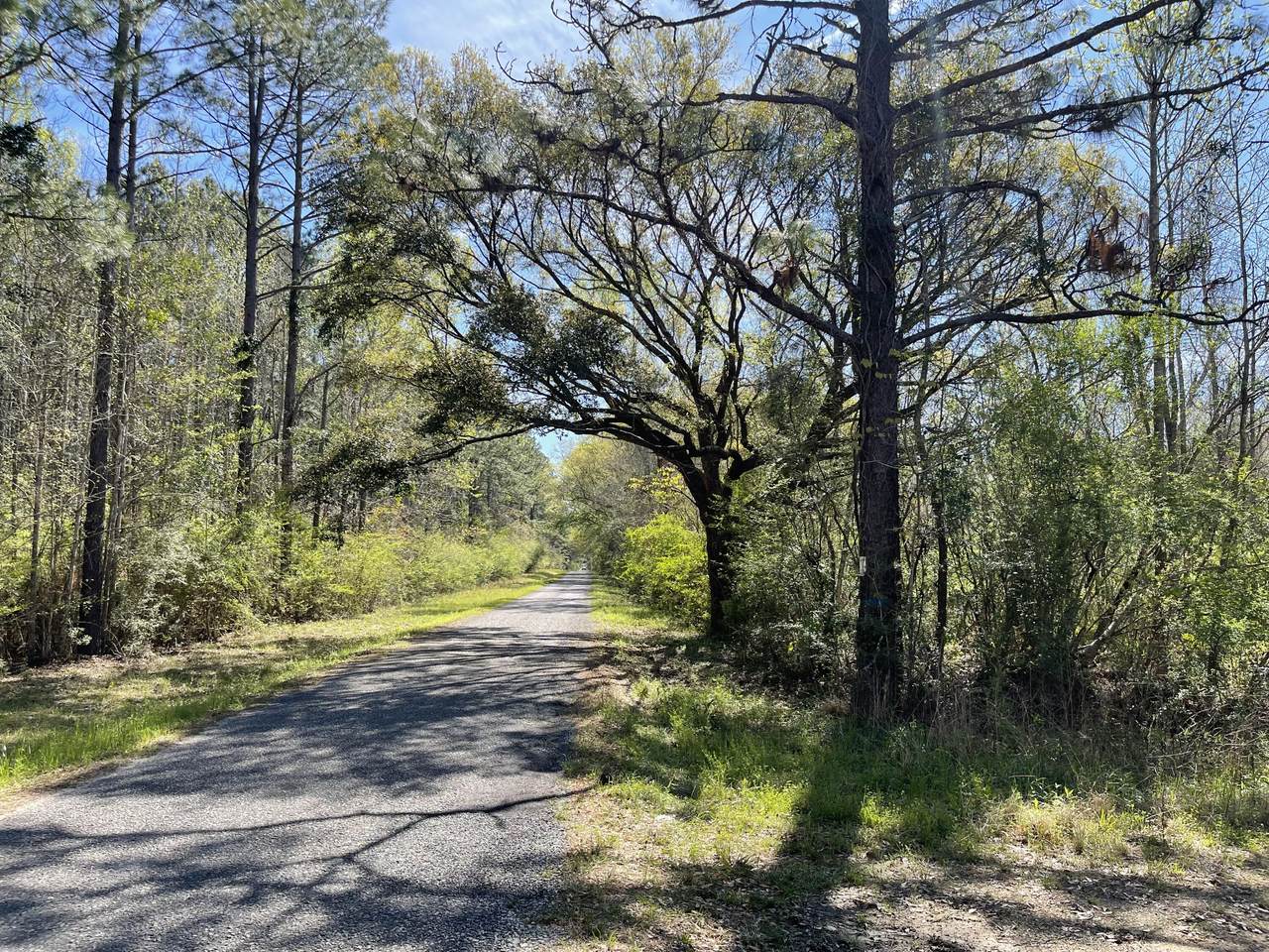 https://bt-photos.global.ssl.fastly.net/hattiesburg/1280_boomver_1_140586-2.jpg