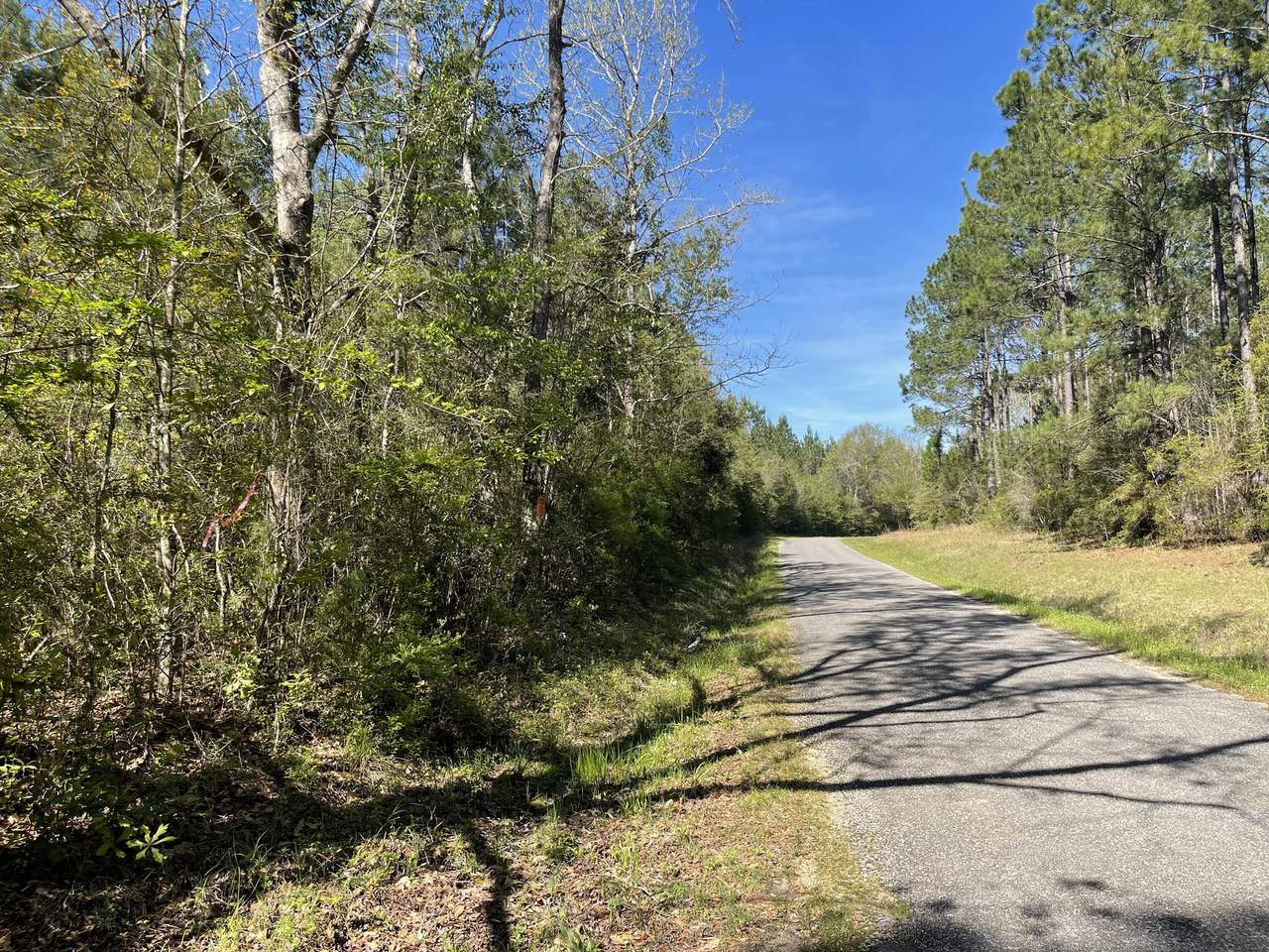 https://bt-photos.global.ssl.fastly.net/hattiesburg/1280_boomver_1_140586-2.jpg
