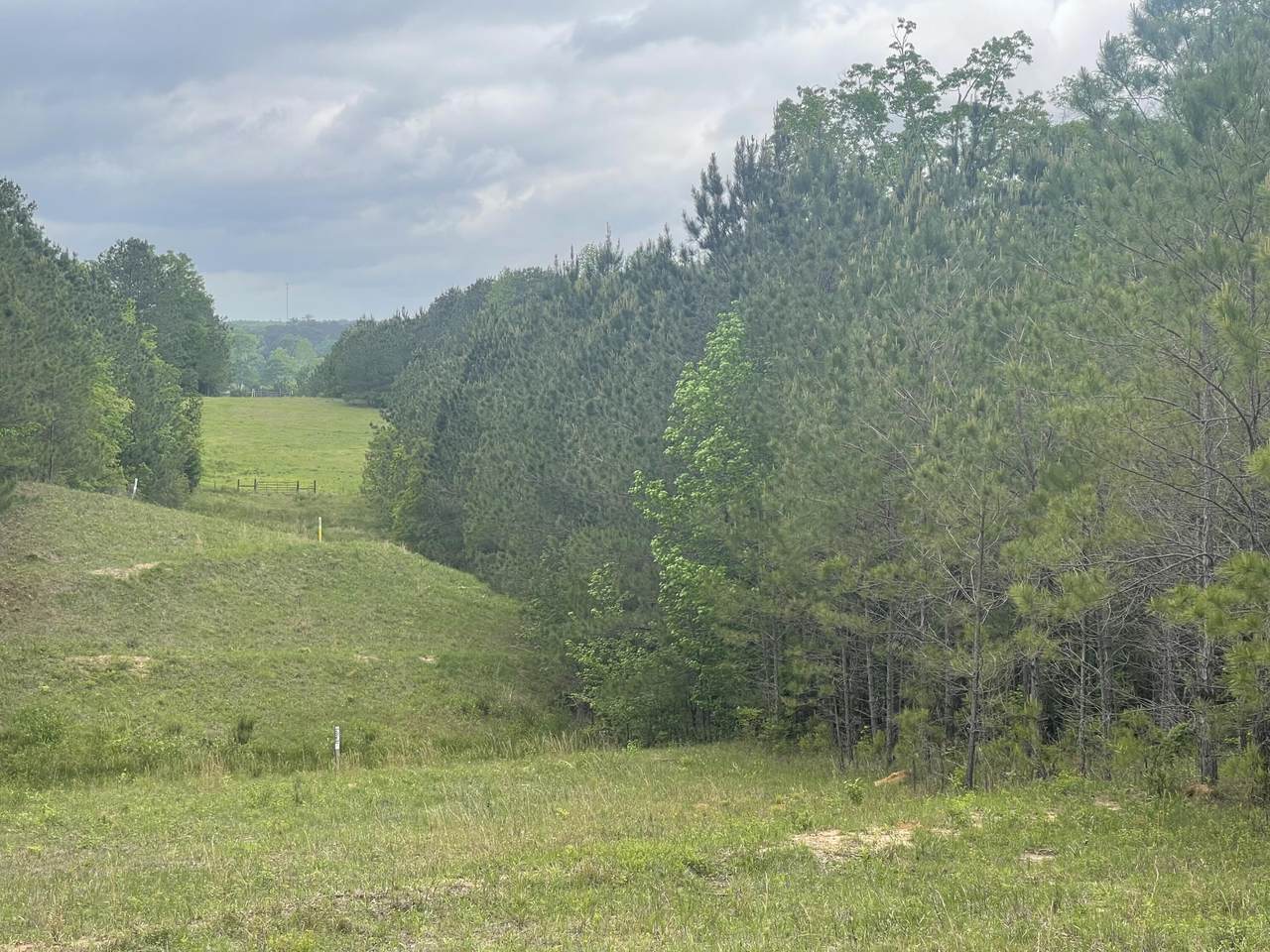 0 Co Rd 1725 - Photo 1