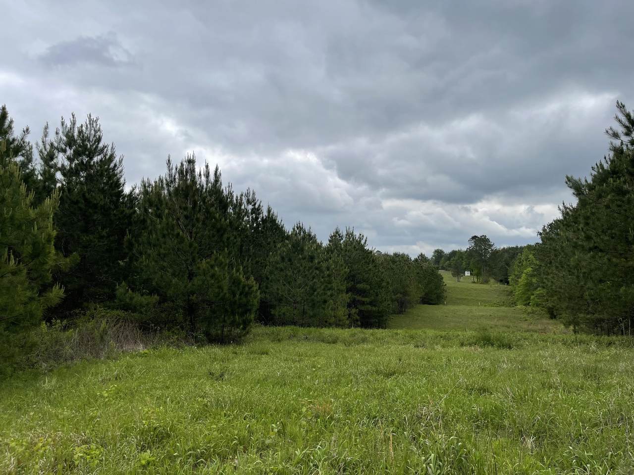 https://bt-photos.global.ssl.fastly.net/hattiesburg/1280_boomver_1_140604-2.jpg