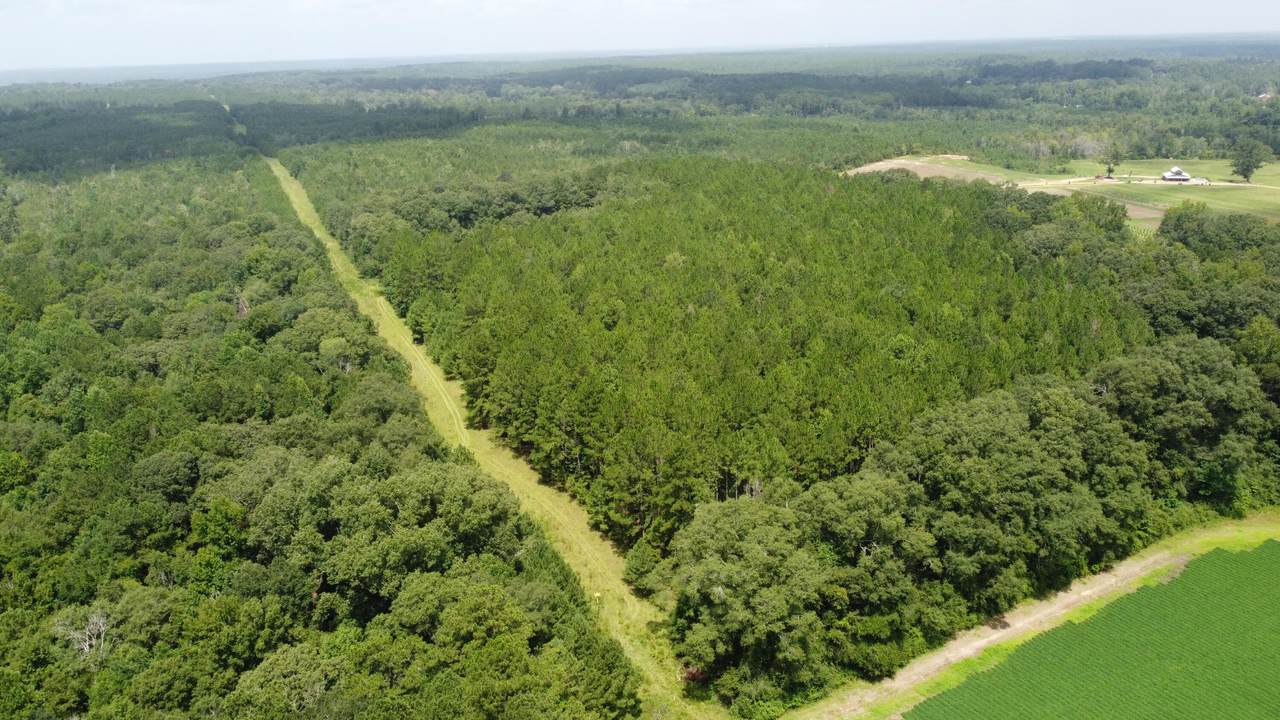 0 Buck Creek Rd. - Photo 1