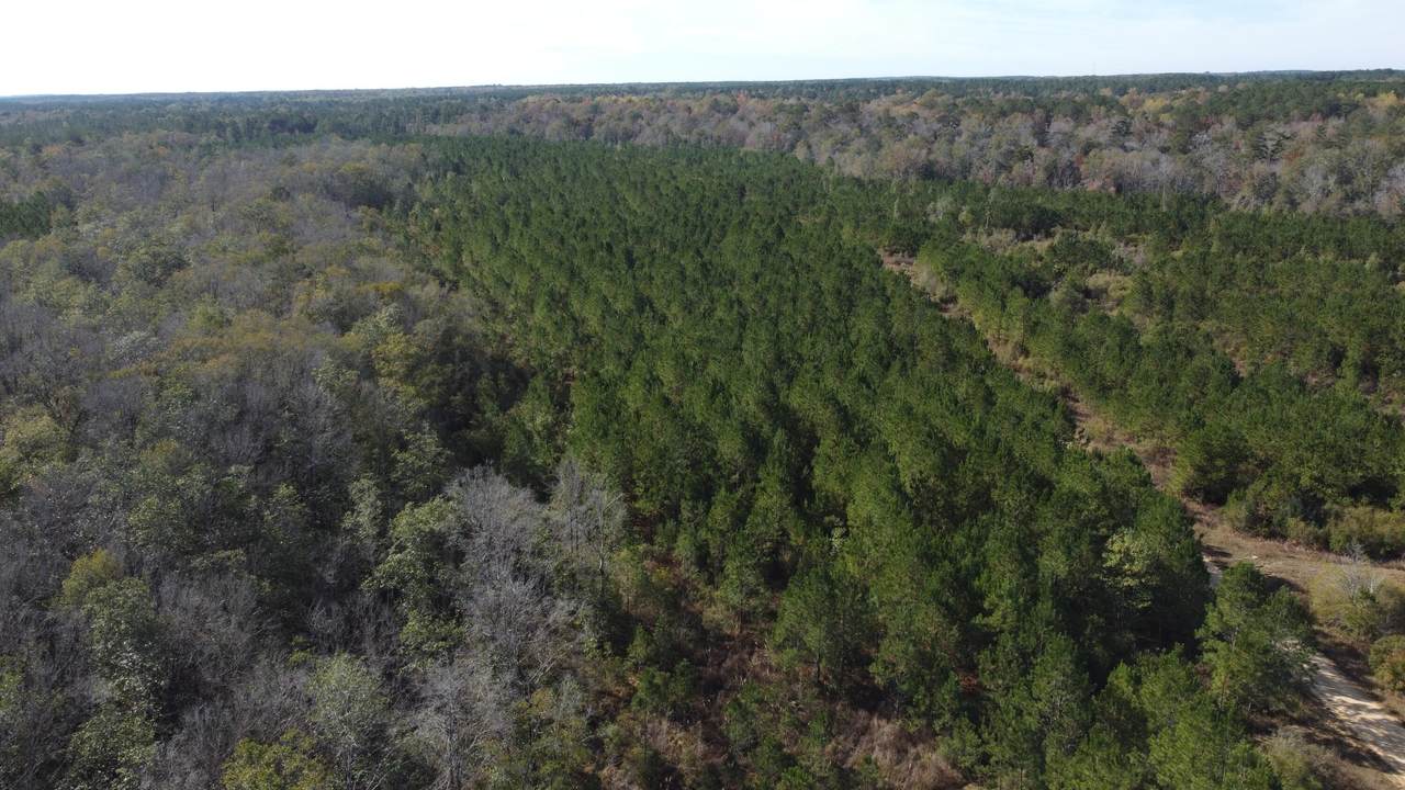 https://bt-photos.global.ssl.fastly.net/hattiesburg/1280_boomver_1_140979-2.jpg