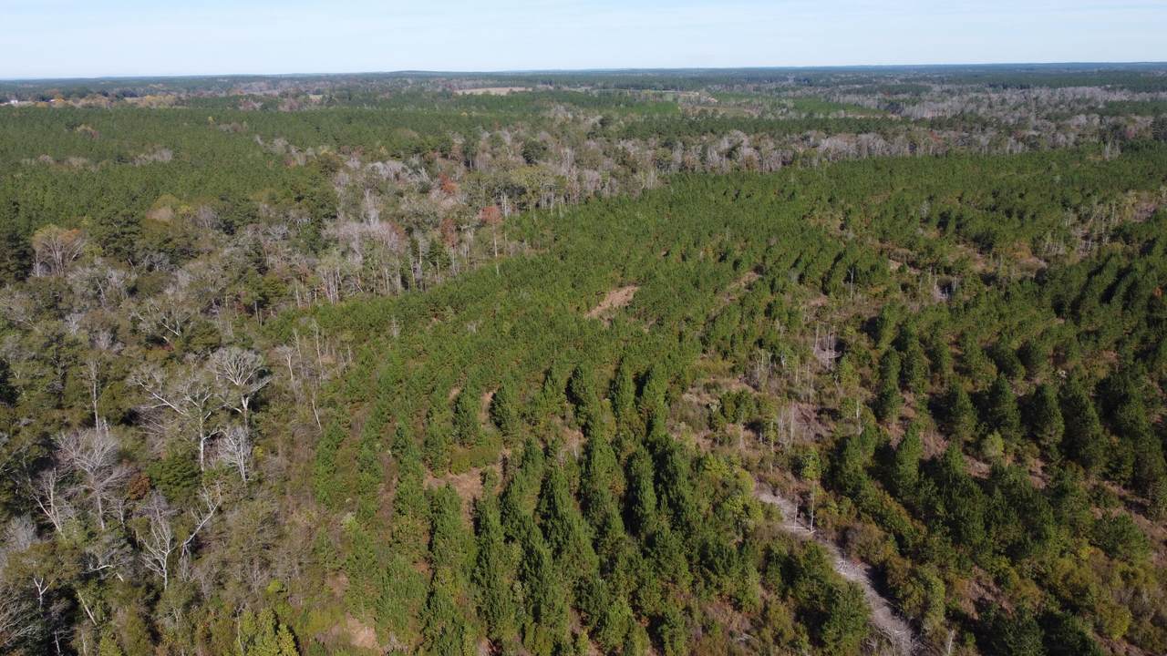 https://bt-photos.global.ssl.fastly.net/hattiesburg/1280_boomver_1_140979-2.jpg
