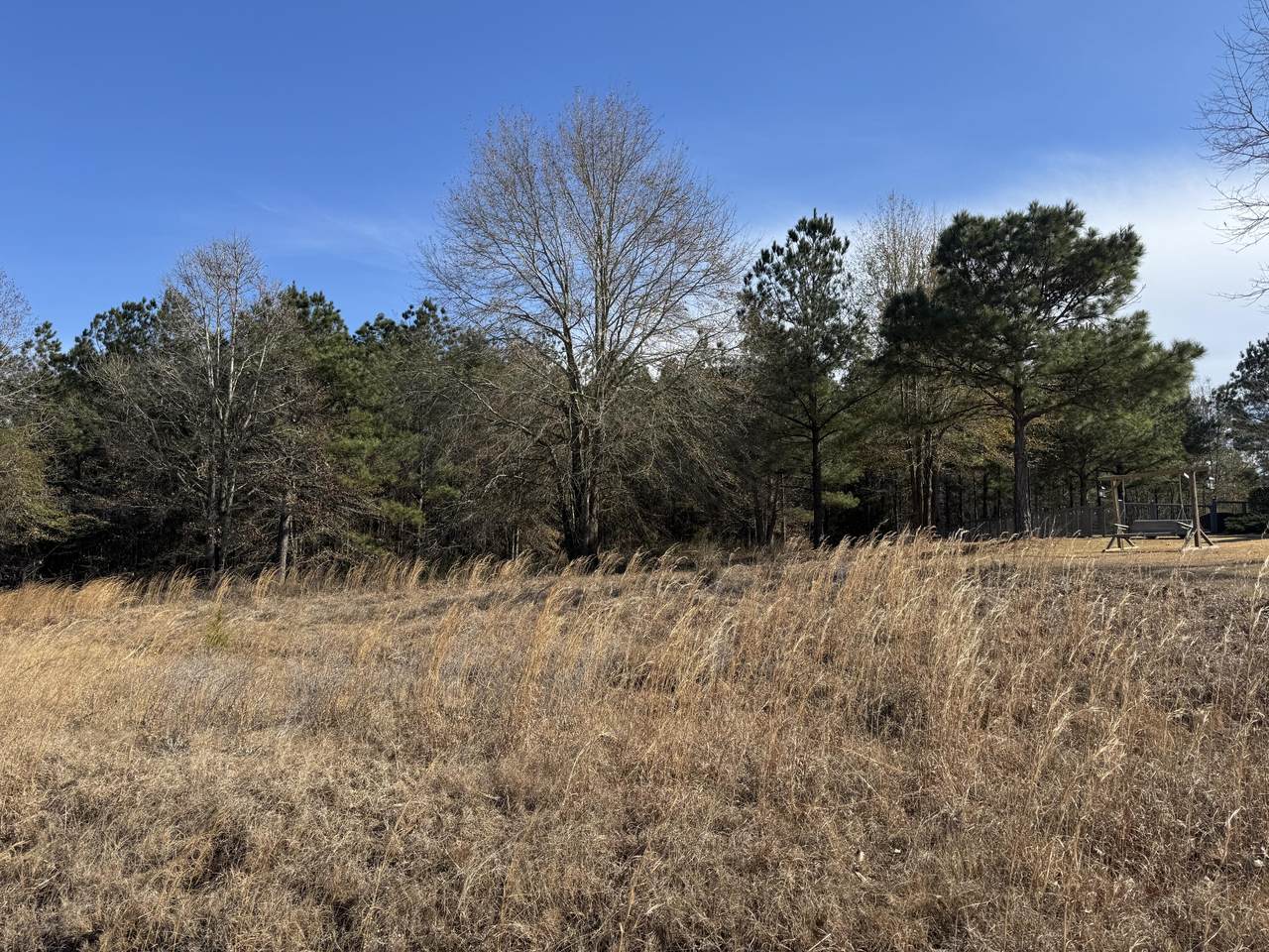 322 Big Bay - Photo 1