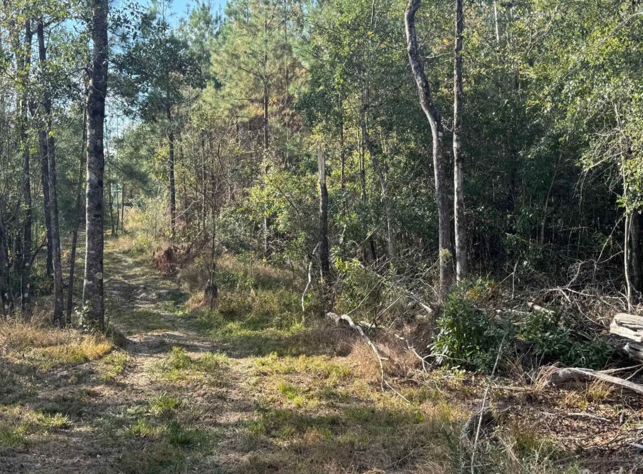 000 J Bailey Rd. - Photo 1