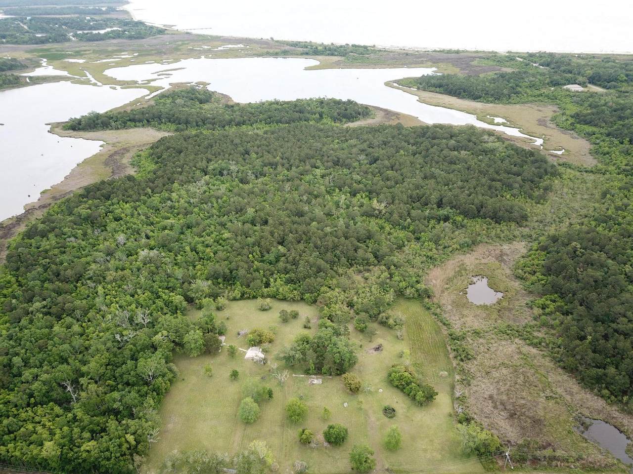 000 Lakeshore - Photo 1