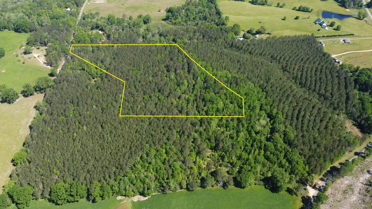 0 Pete Field Rd. - Photo 1