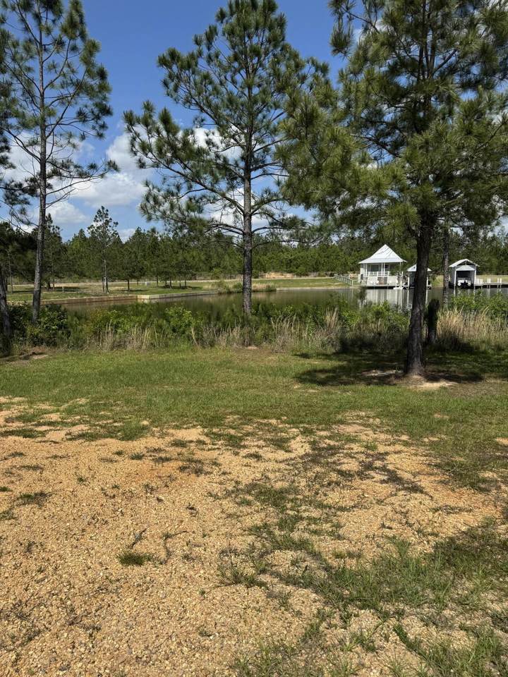 13 Spinnerbait - Photo 1