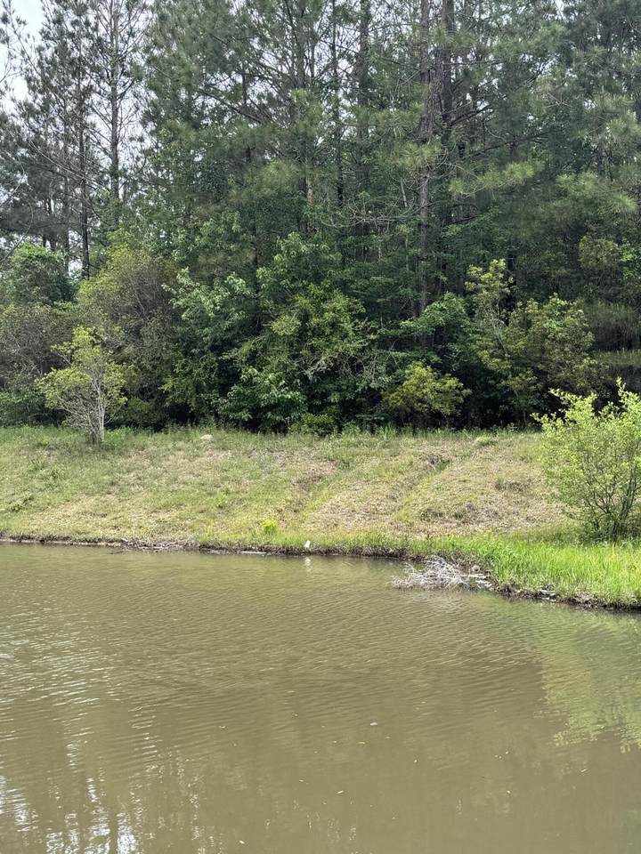 40 Jitterbug Bend - Photo 1