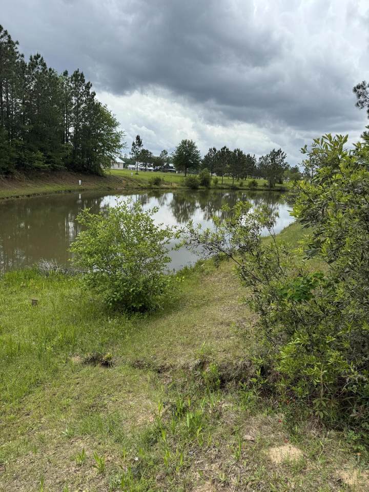 https://bt-photos.global.ssl.fastly.net/hattiesburg/1280_boomver_1_142385-2.jpg
