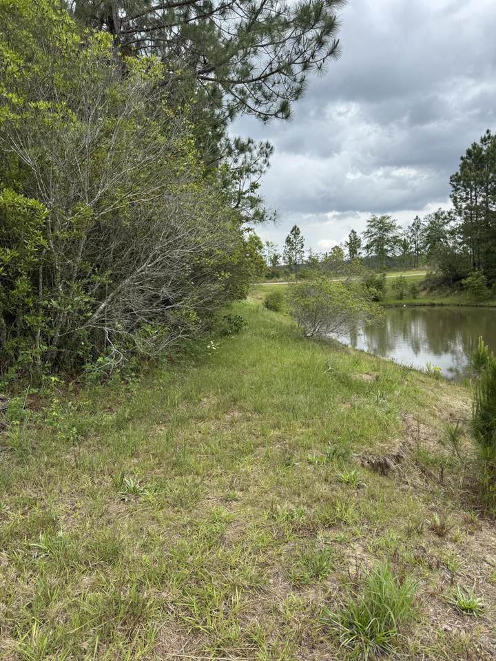 https://bt-photos.global.ssl.fastly.net/hattiesburg/1280_boomver_1_142385-2.jpg