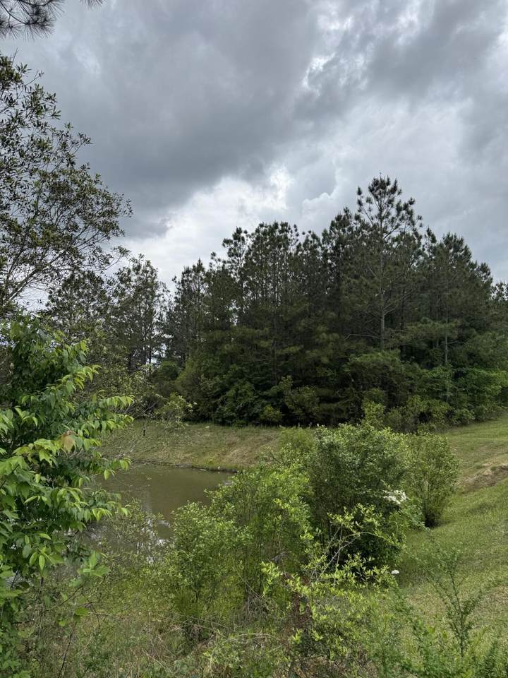https://bt-photos.global.ssl.fastly.net/hattiesburg/1280_boomver_1_142385-2.jpg