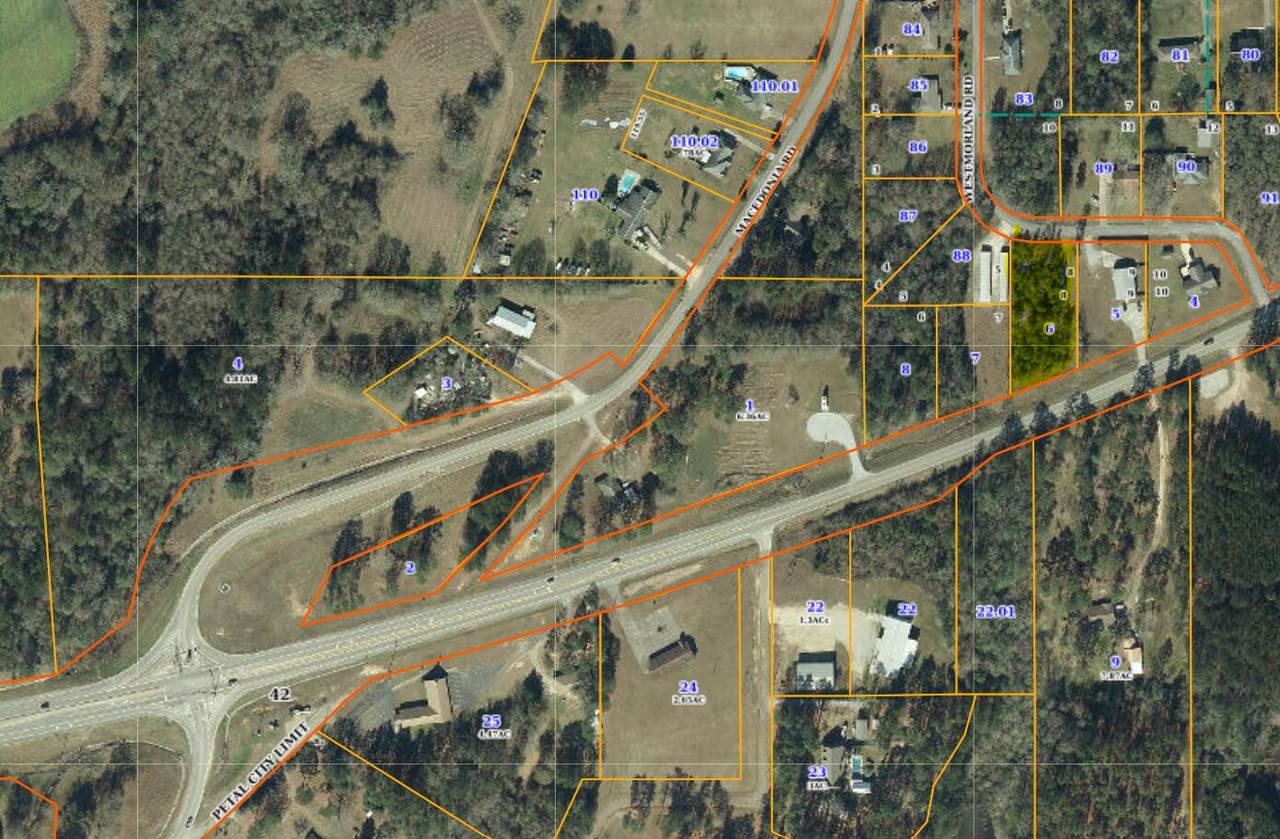 0 Evelyn Gandy - Photo 1