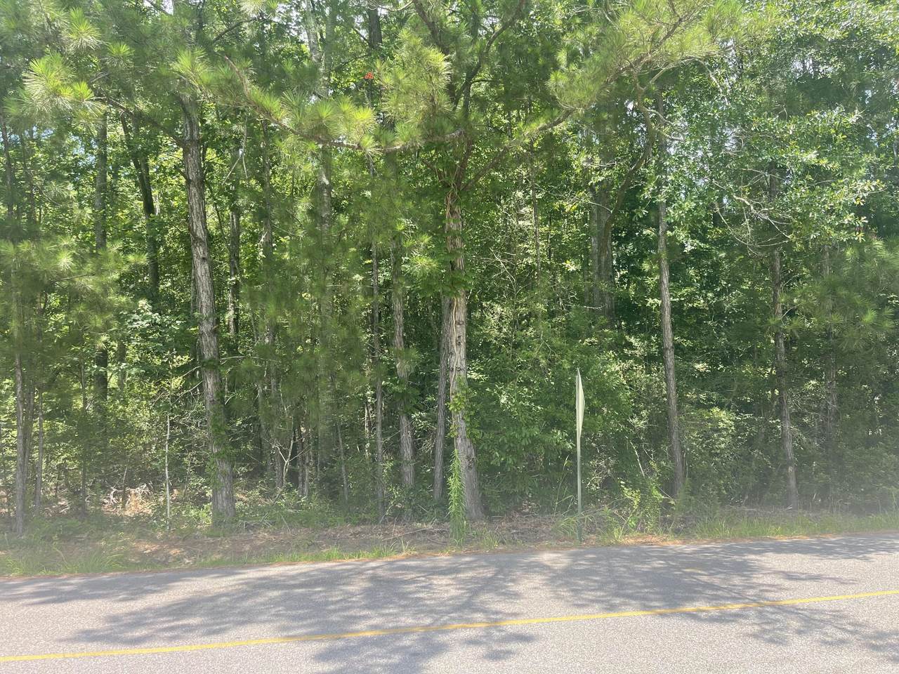 Lot 106 Woodville Trace Trail - Photo 1