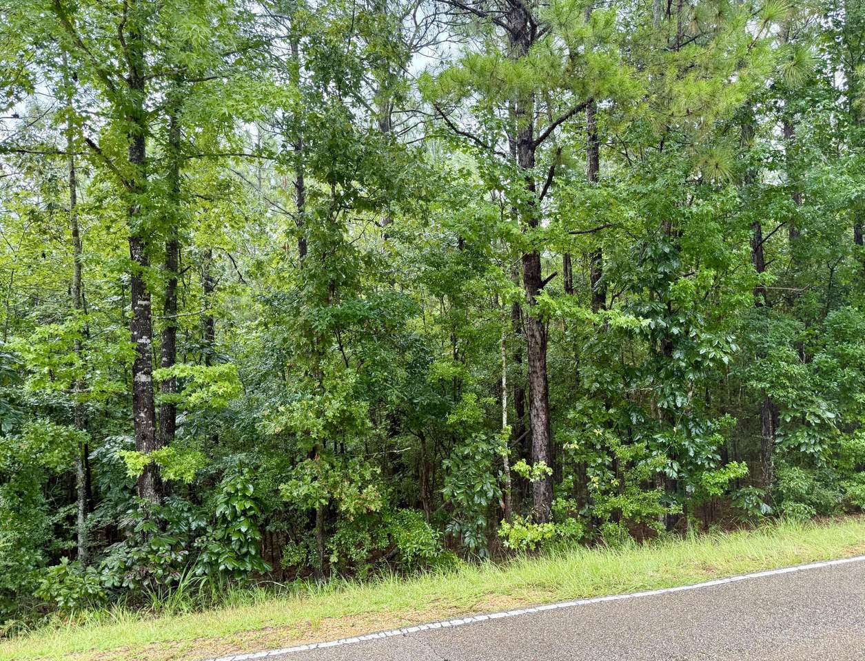 000 Purvis Baxterville - Photo 1