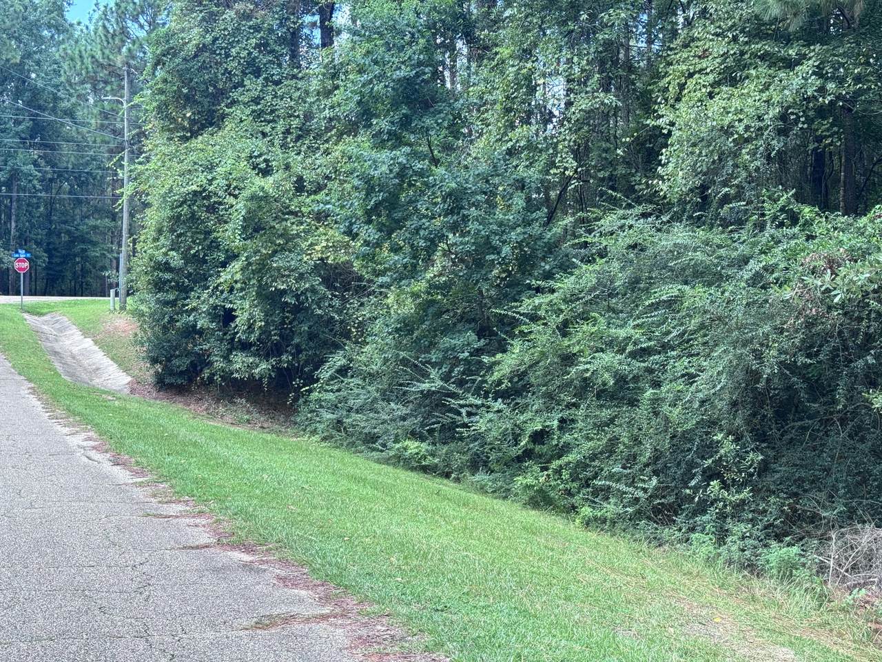 https://bt-photos.global.ssl.fastly.net/hattiesburg/1280_boomver_1_143753-2.jpg