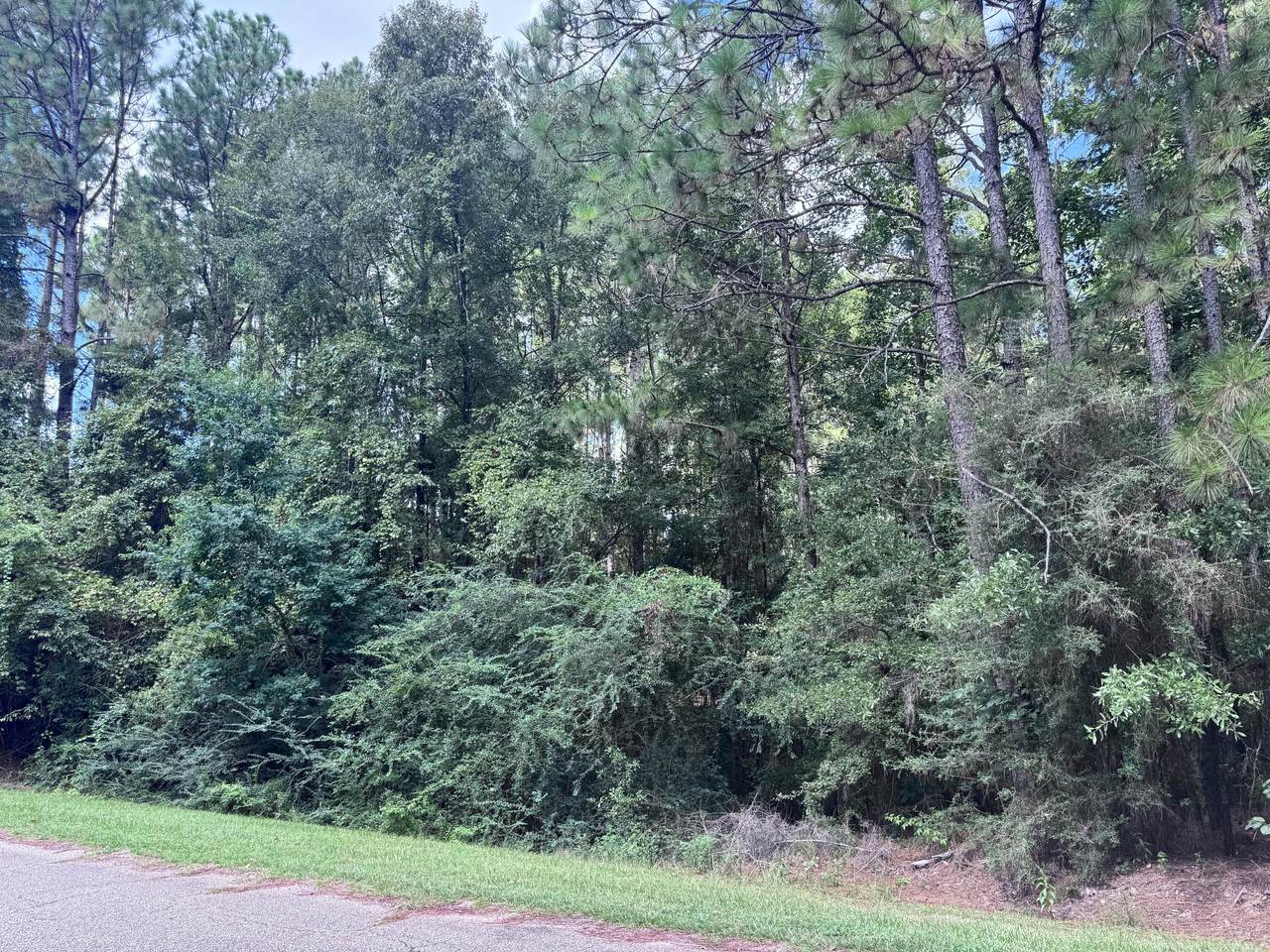https://bt-photos.global.ssl.fastly.net/hattiesburg/1280_boomver_1_143753-2.jpg