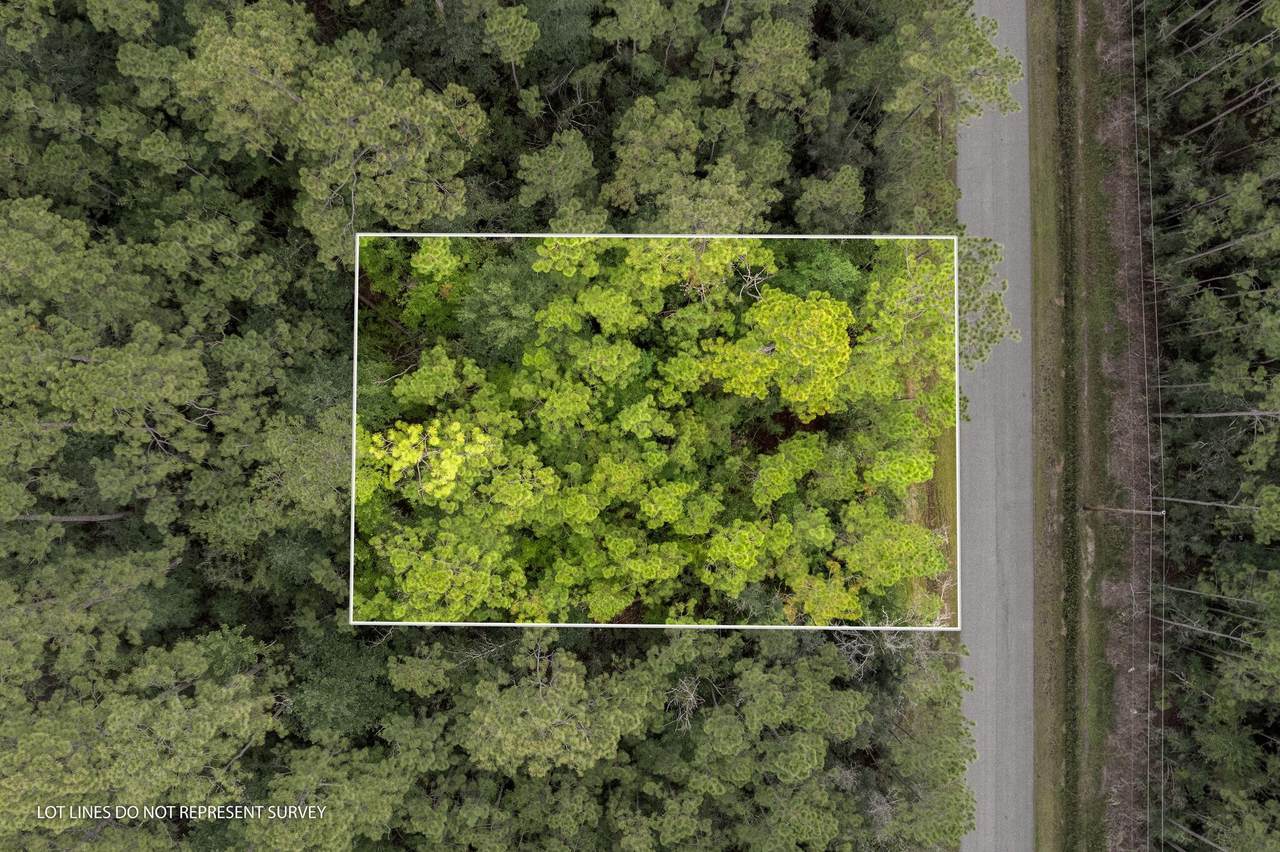 8005 Spruce - Photo 1