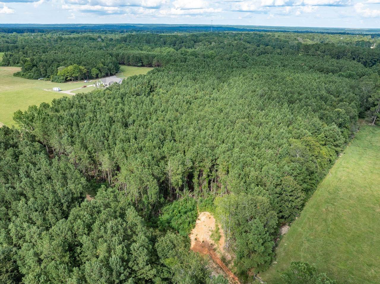 Parcel C J Runnels Rd. - Photo 1