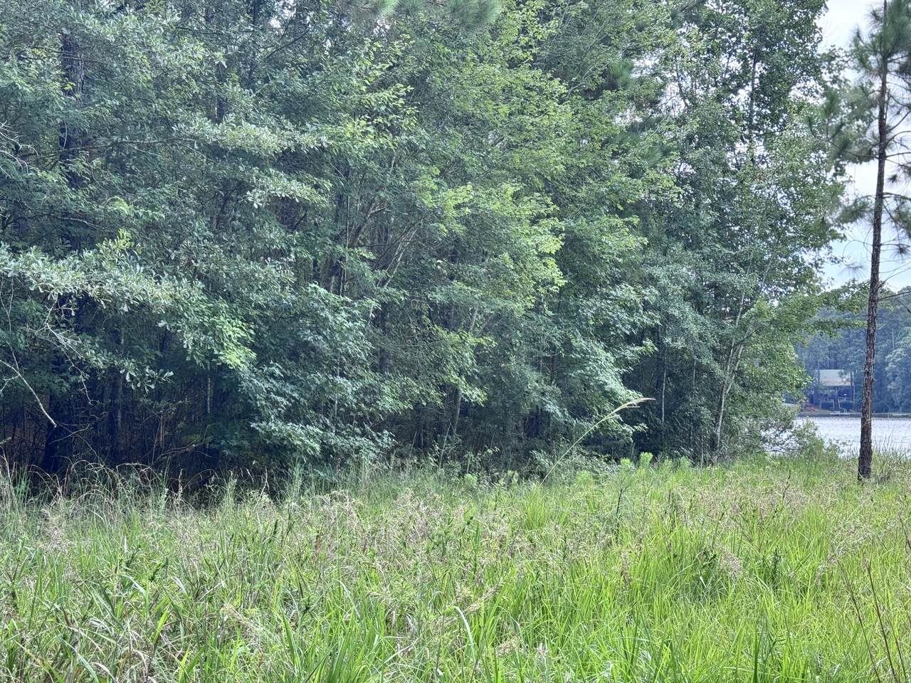 https://bt-photos.global.ssl.fastly.net/hattiesburg/1280_boomver_1_143868-2.jpg