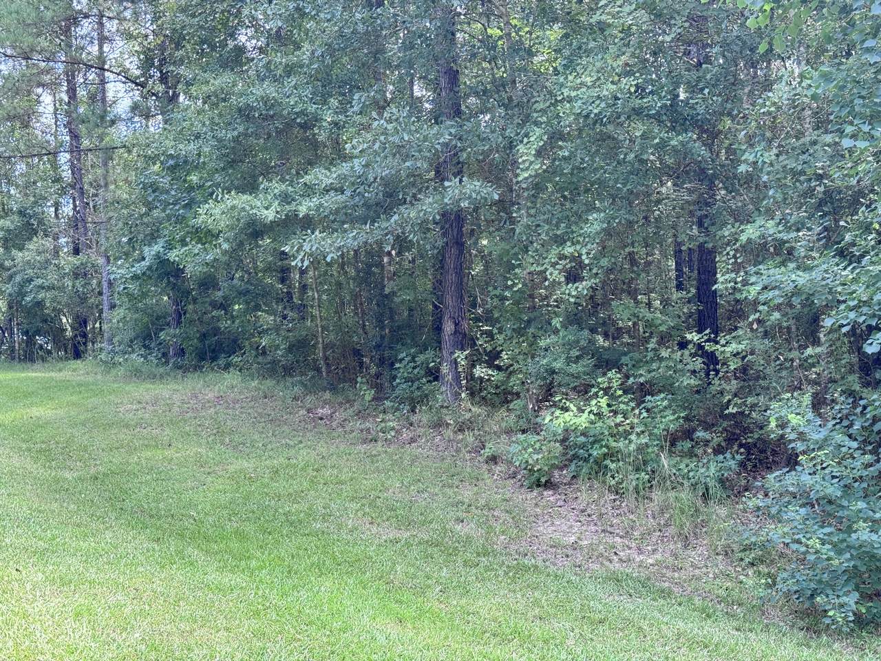https://bt-photos.global.ssl.fastly.net/hattiesburg/1280_boomver_1_143868-2.jpg