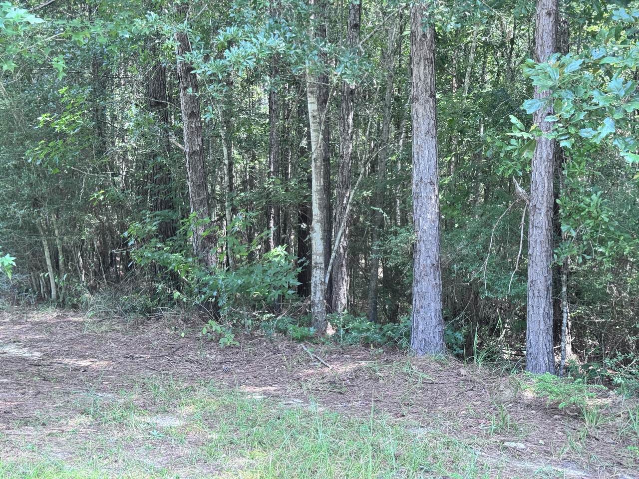 https://bt-photos.global.ssl.fastly.net/hattiesburg/1280_boomver_1_143873-2.jpg