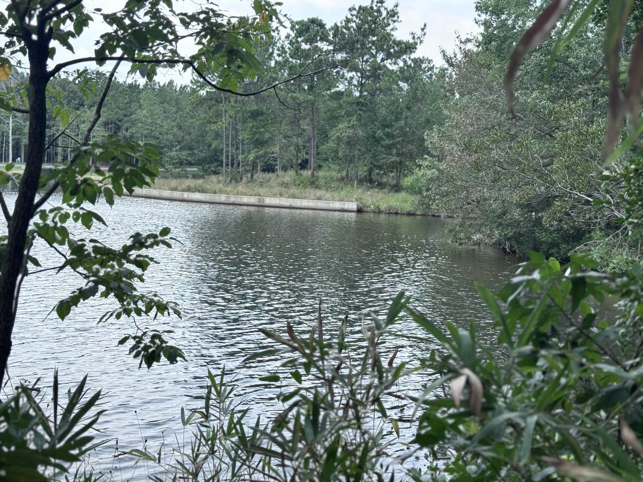 200 Ella Point (Lot #15) - Photo 1