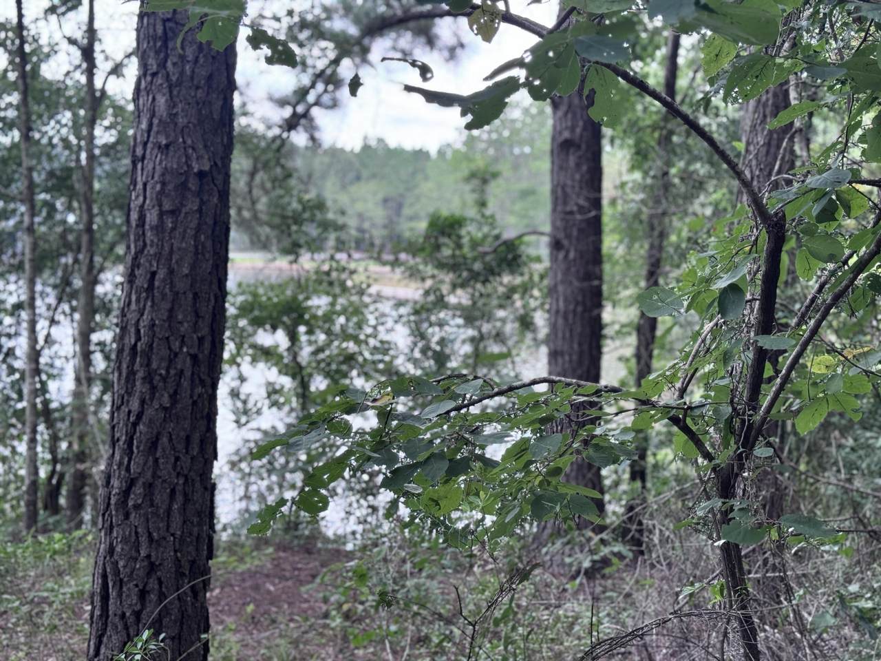 https://bt-photos.global.ssl.fastly.net/hattiesburg/1280_boomver_1_143907-2.jpg