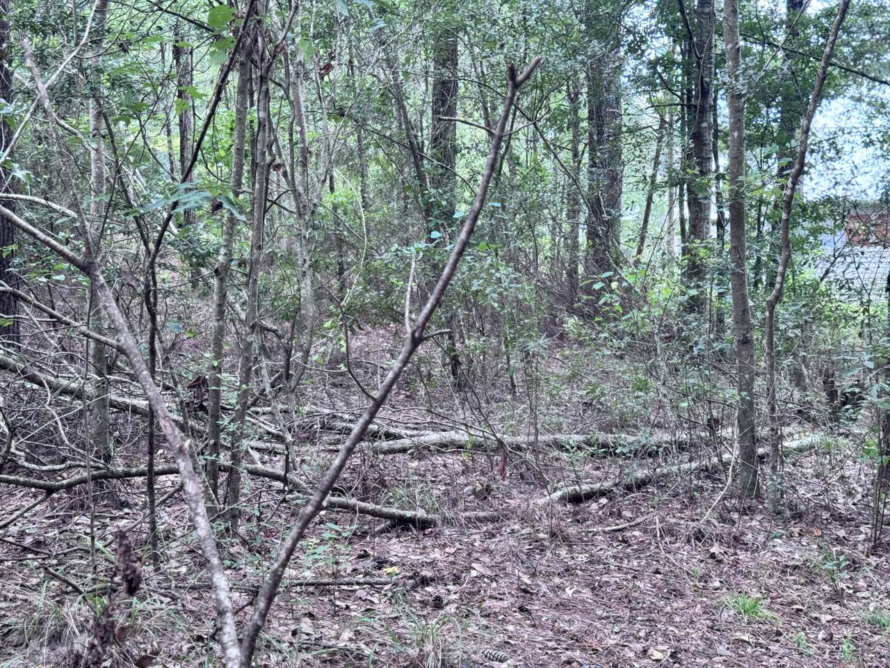 https://bt-photos.global.ssl.fastly.net/hattiesburg/1280_boomver_1_143907-2.jpg