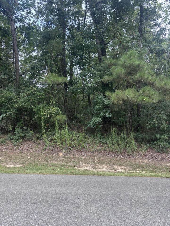 0 Cornerstone - Photo 1