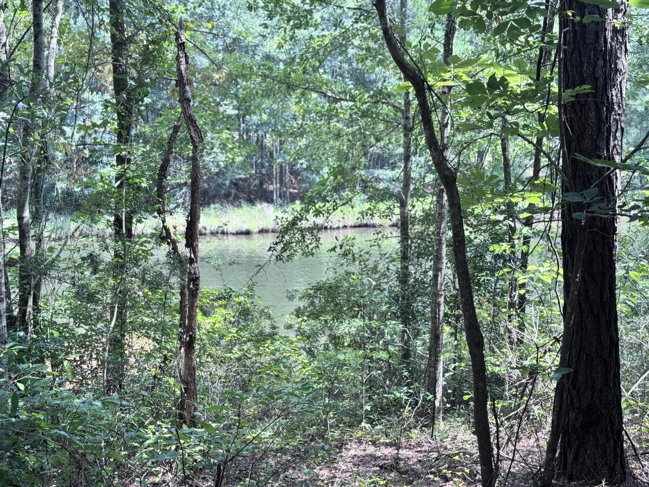 70 Annes Circle (Lot 54) - Photo 1