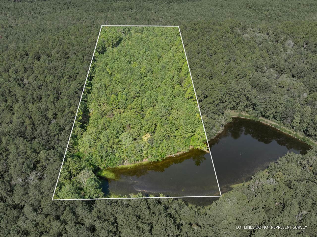 00 Forrest Road 205 - Photo 1