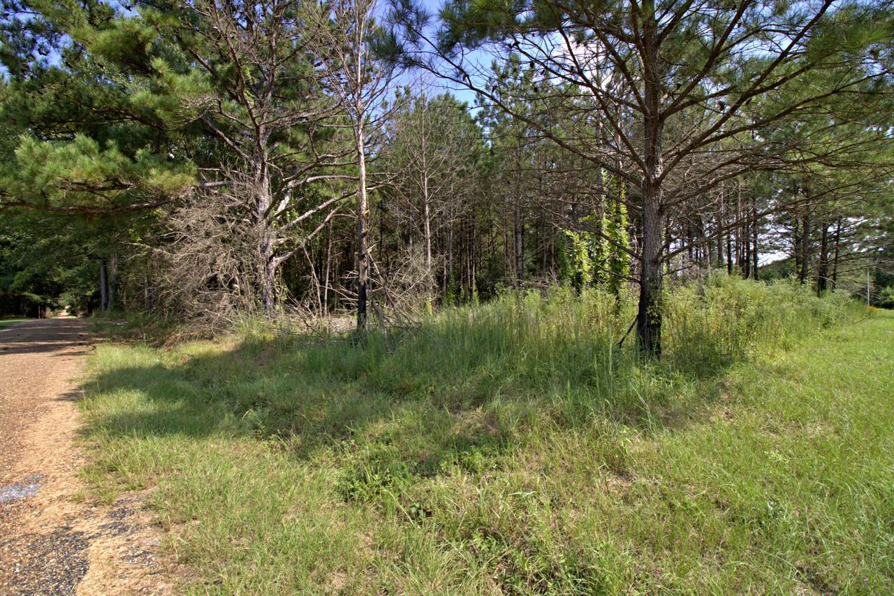 https://bt-photos.global.ssl.fastly.net/hattiesburg/1280_boomver_1_144075-2.jpg
