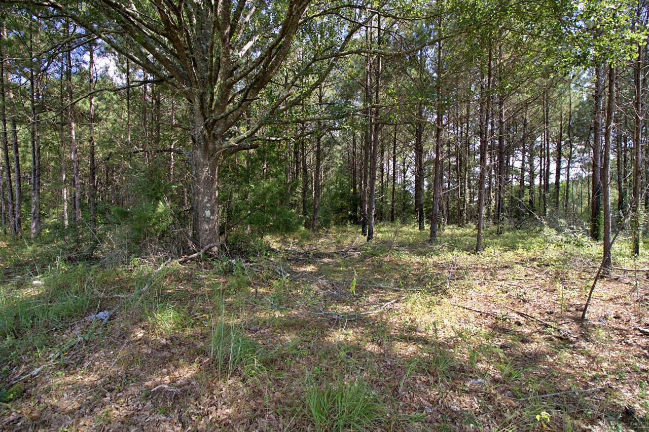https://bt-photos.global.ssl.fastly.net/hattiesburg/1280_boomver_1_144075-2.jpg