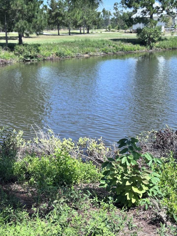 47 Painted Arrow (Lot #12) - Photo 1