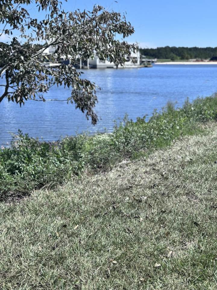 https://bt-photos.global.ssl.fastly.net/hattiesburg/1280_boomver_1_144102-2.jpg