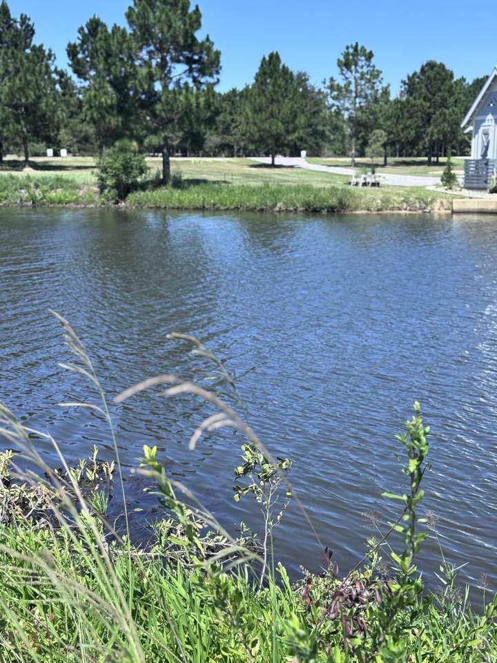 15 Fletching Turn (Lot #15) - Photo 1