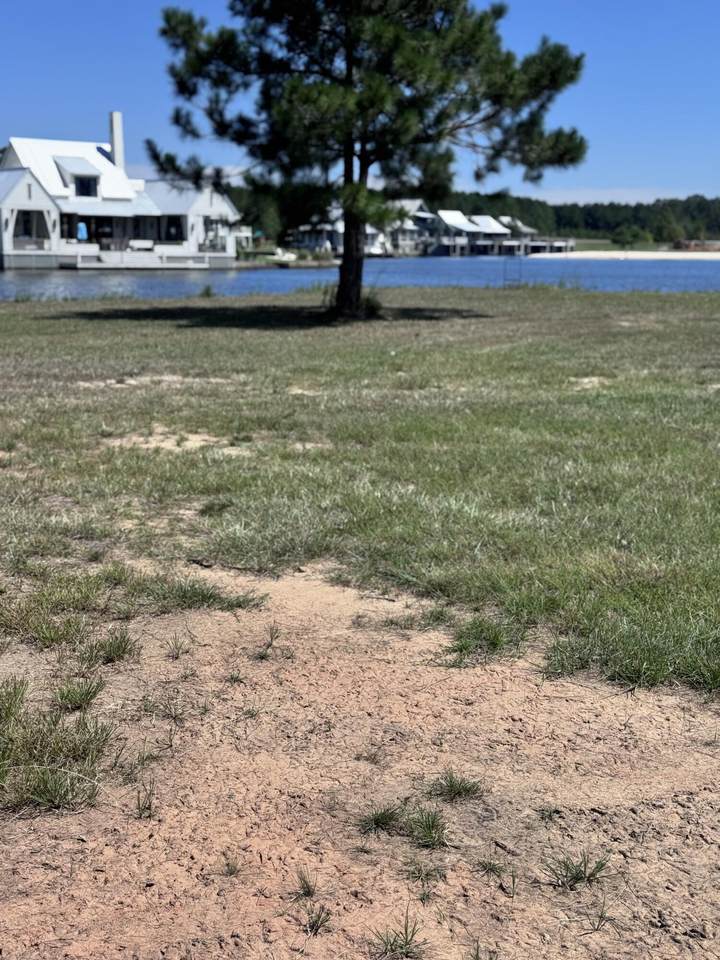 https://bt-photos.global.ssl.fastly.net/hattiesburg/1280_boomver_1_144105-2.jpg