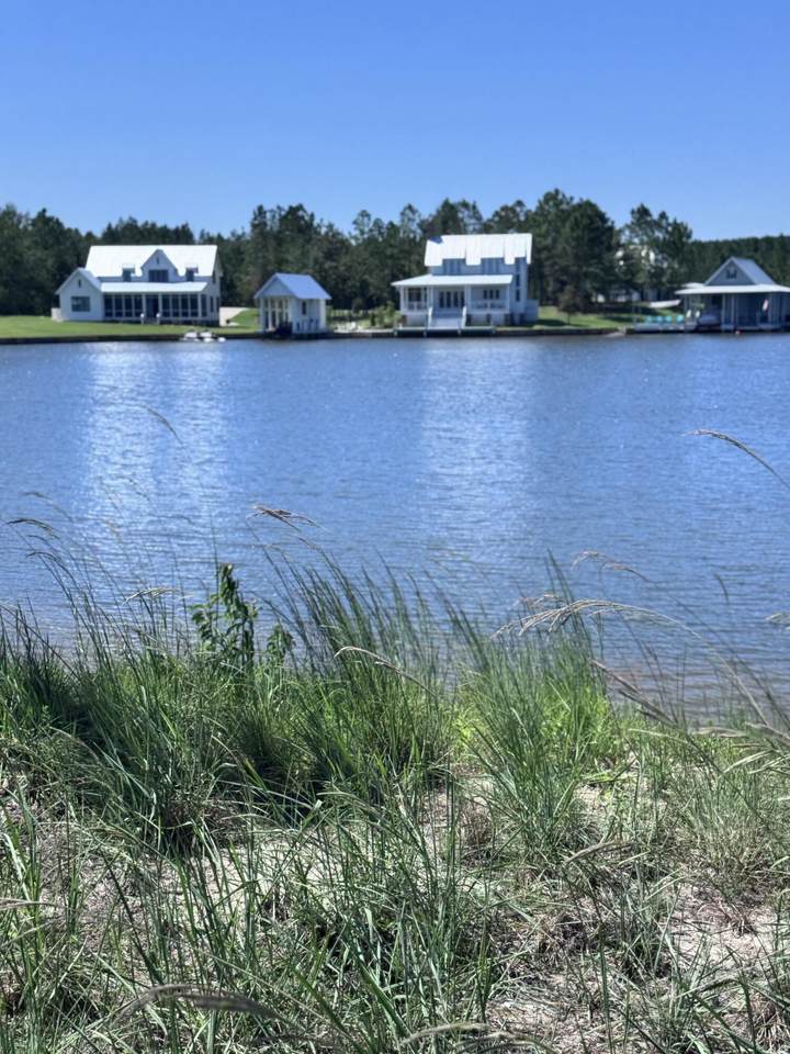 50 Painted Arrow (Lot #32) - Photo 1