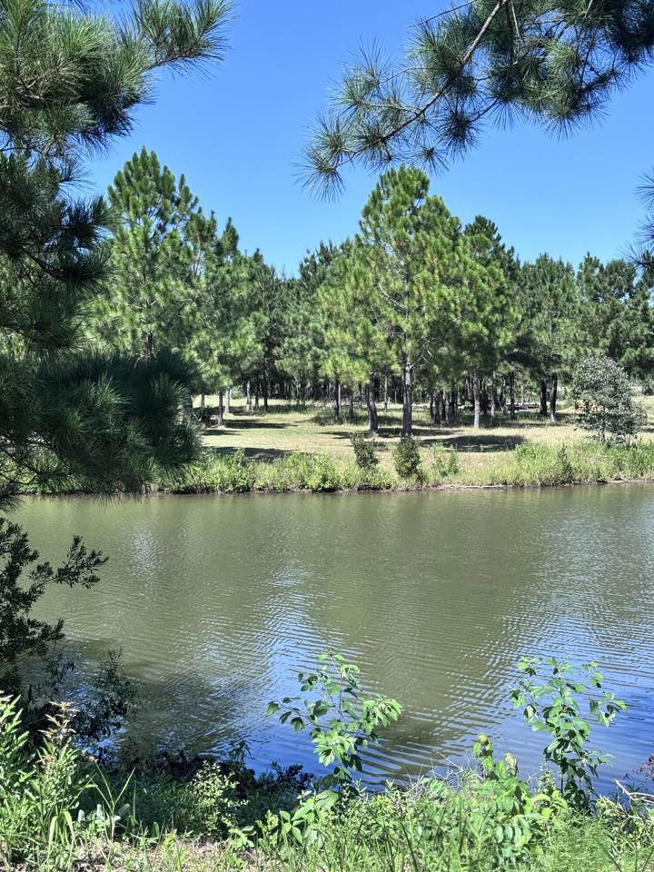 42 Painted Arrow (Lot #34) - Photo 1