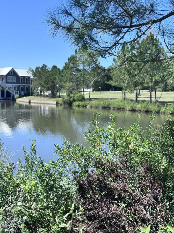 34 Painted Arrow (Lot #36) - Photo 1