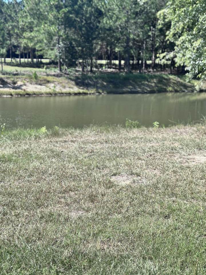 14 Painted Arrow (Lot #41) - Photo 1