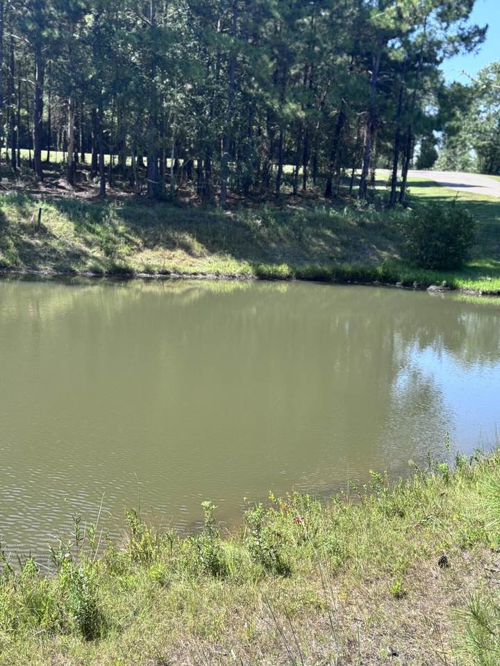 6 Painted Arrow (Lot #43) - Photo 1