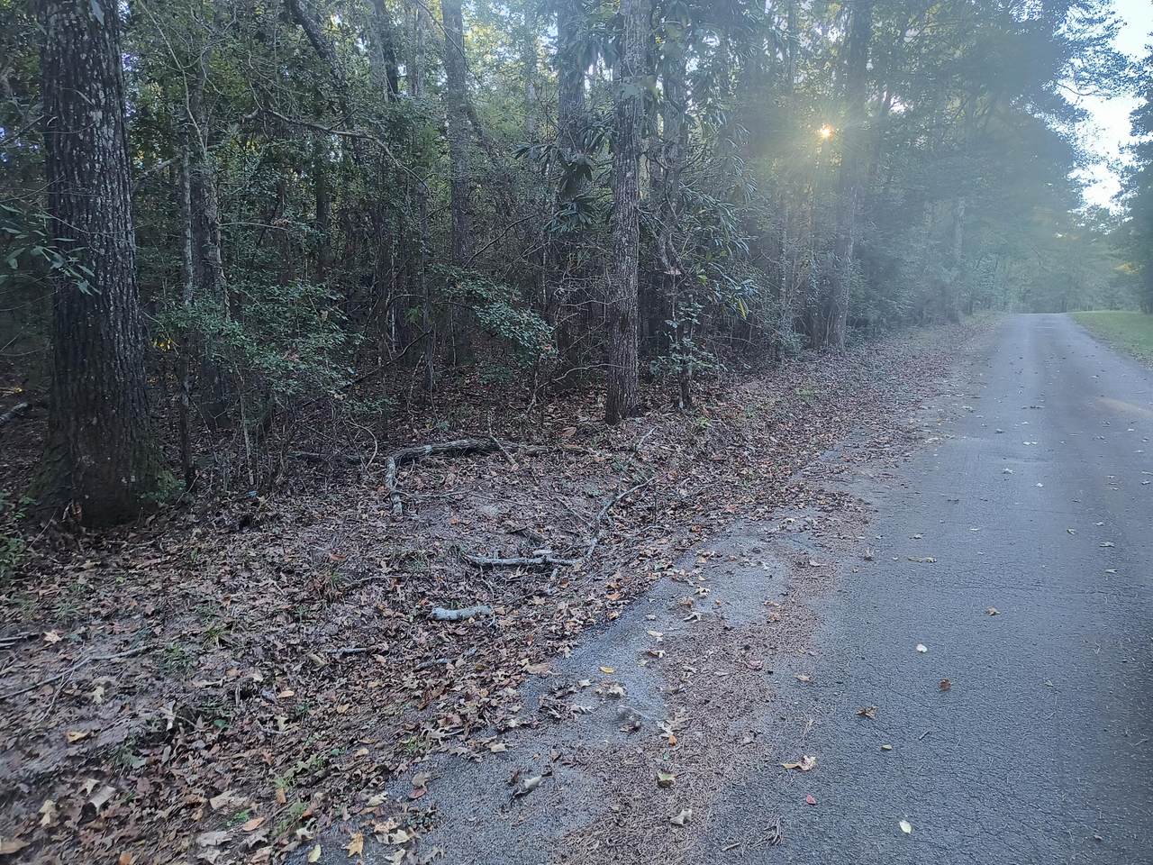 https://bt-photos.global.ssl.fastly.net/hattiesburg/orig_boomver_2_144300-2.jpg